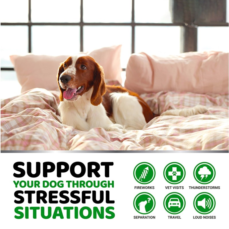 Calming Supplements Supplier - Relaxation Anxiety Relief Chews
