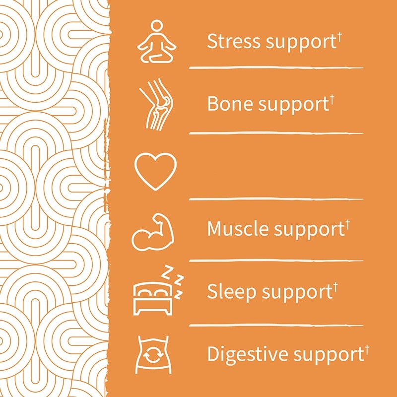 Magnesium Gummies Supplier - PRE Probiotics Health Food