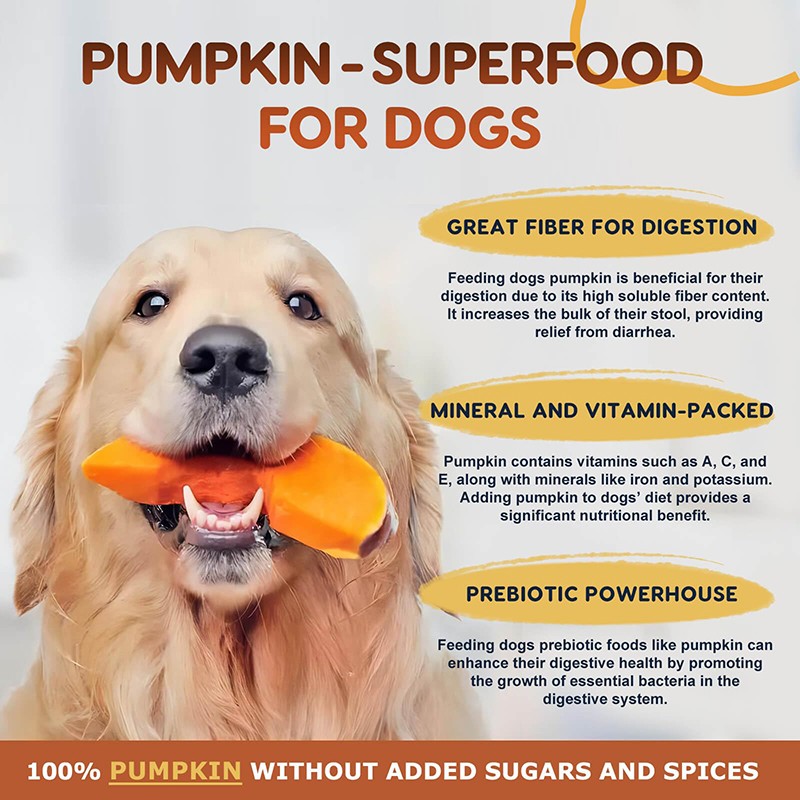 Pet Vitamins Supplier - Digestive Skin Coat Immune Chews