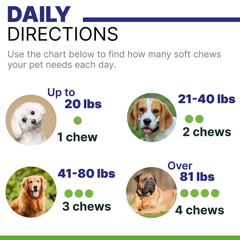 Dog Allergy Chews Manufacturer - Itching Skin Relief Salmon Flavor