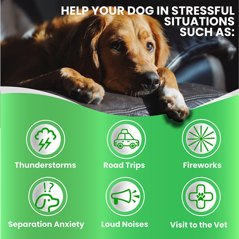 Pet Calming Chews Factory - Stress Anxiety Composure Soft Chews