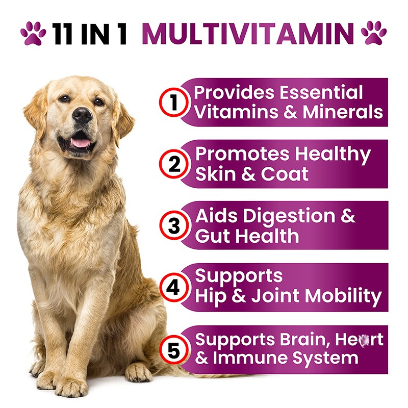 Dog Supplements Manufacturer - Soft Chews Hip Joint Immune Support