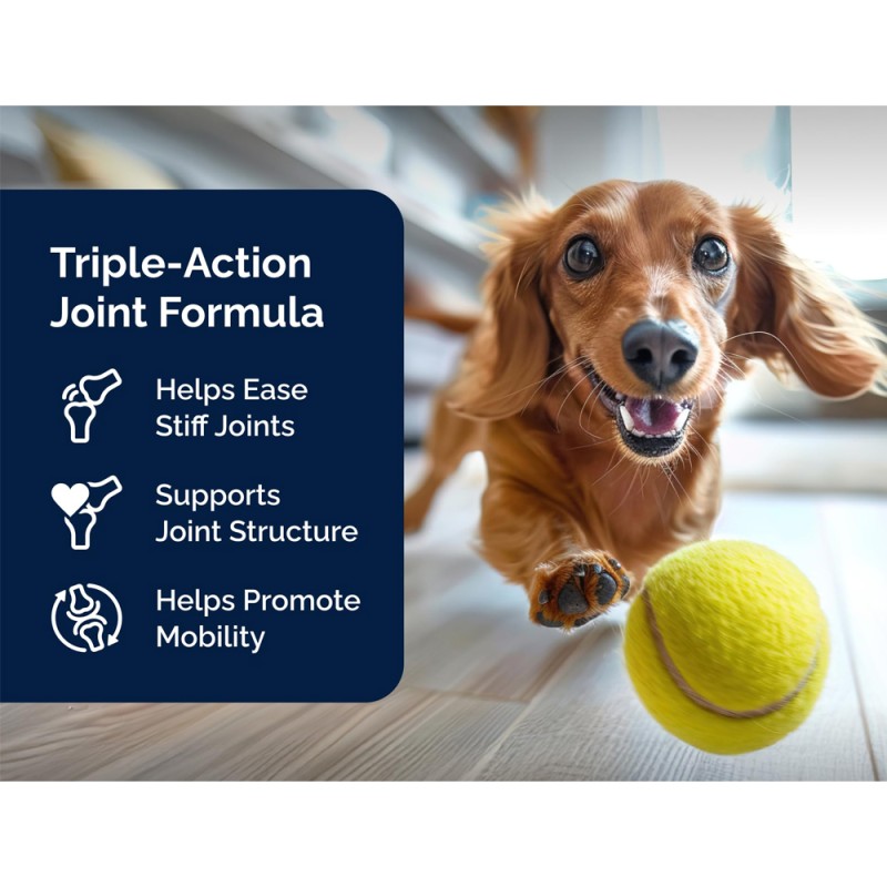 Dog Joint Chews Manufacturer - Soft Chews Hip Protection