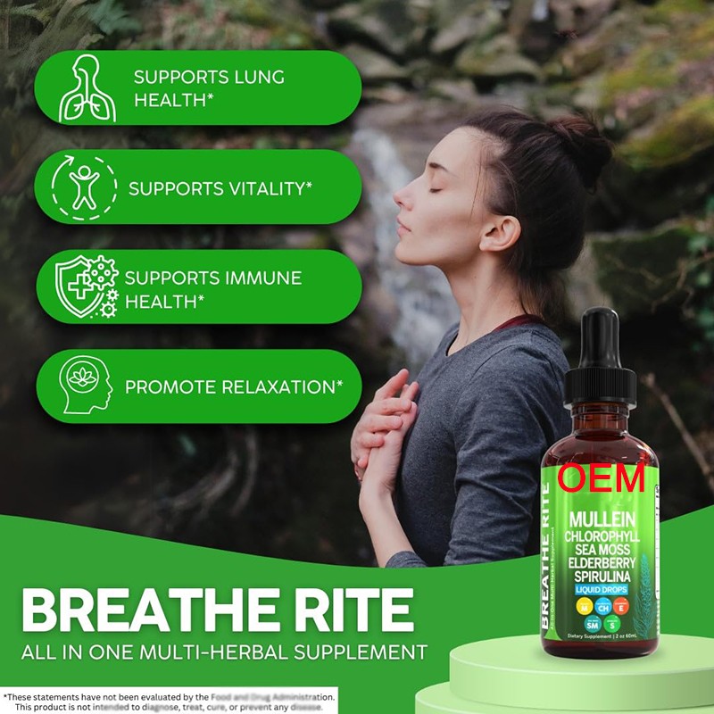 Chlorophyll Liquid Supplier - Daily Wellness Antioxidant Drops