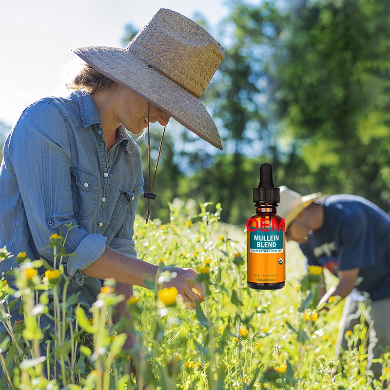 Mullein Extract Drops Factory - Lung Cleanse Respiratory Function