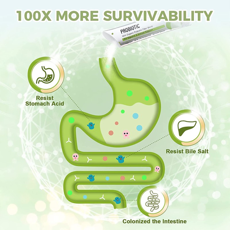 Probiotics Powder Factory - Digestion Health Prebiotic Powder