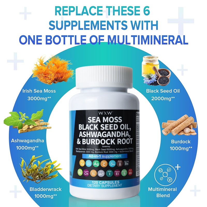 Sea Moss Capsules Factory - Organic Black Seed Oil Support