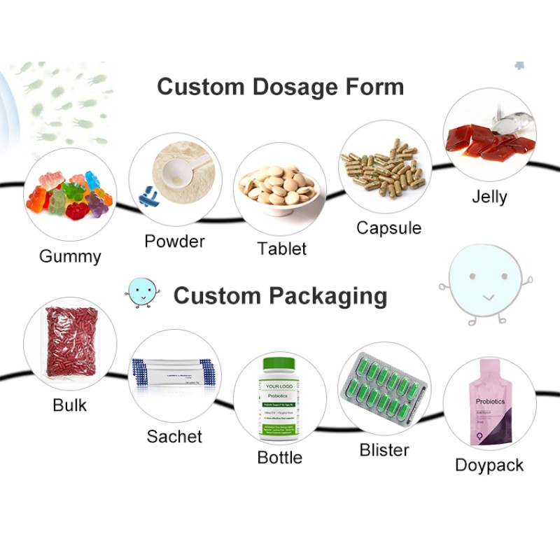 Probiotics Powder Factory - Prebiotics Digestive Immune Gut