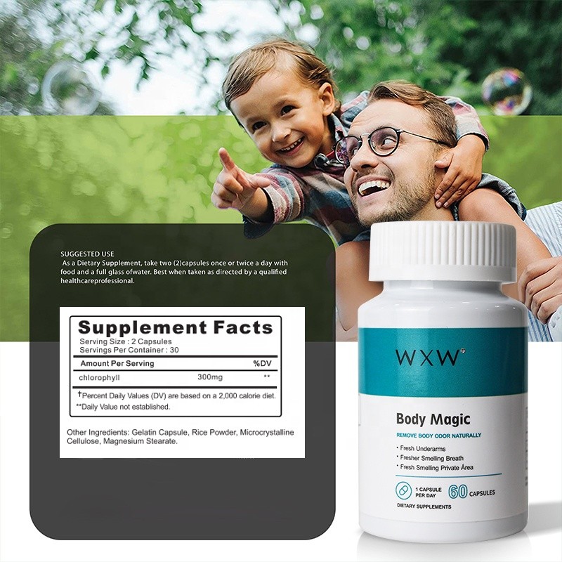 Chlorophyll Capsules Factory - Body Magic Dietary Supplement