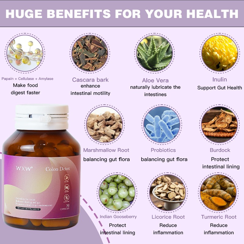 Gut Cleansing Capsules Manufacturer - Digestion Support Detox