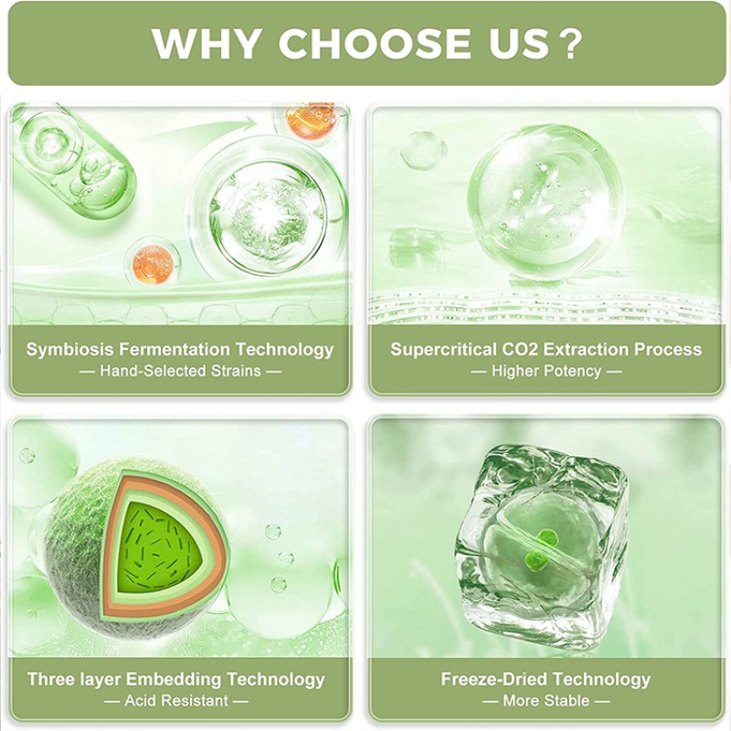 Probiotics Powder Factory - Digestion Health Prebiotic Powder