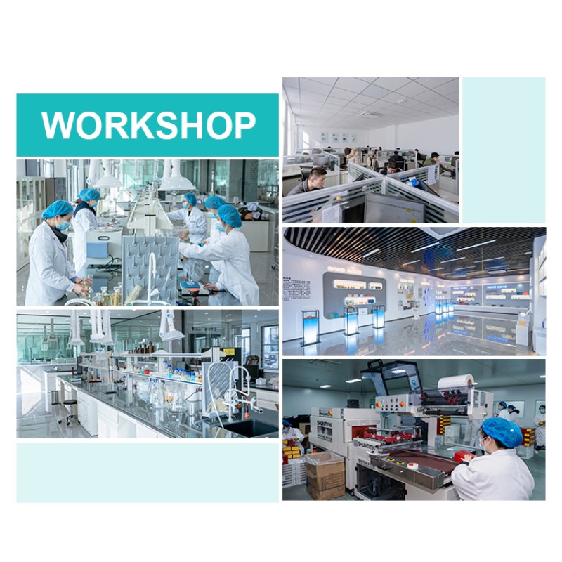 Alpha Lipoic Acid Capsules Manufacturer - Acetyl-L-Carnitine