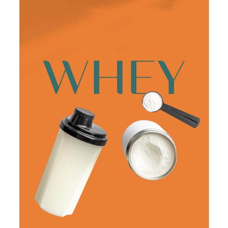 Whey Protein Isolate Powder Factory - 80% WPC WPI 90%