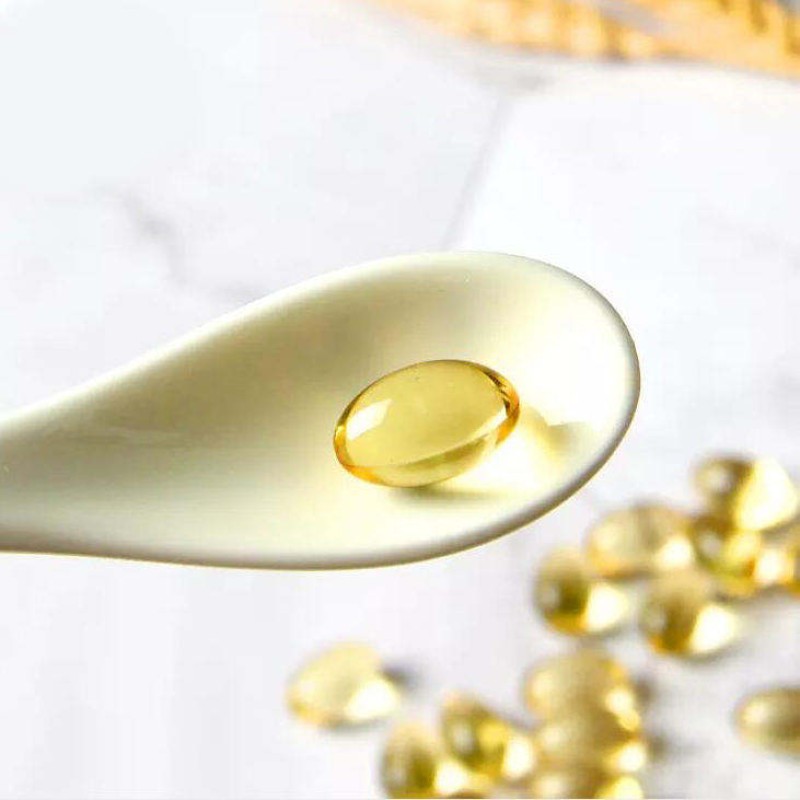 Ginkgo Biloba Softgel Factory - 120mg Memory Focus