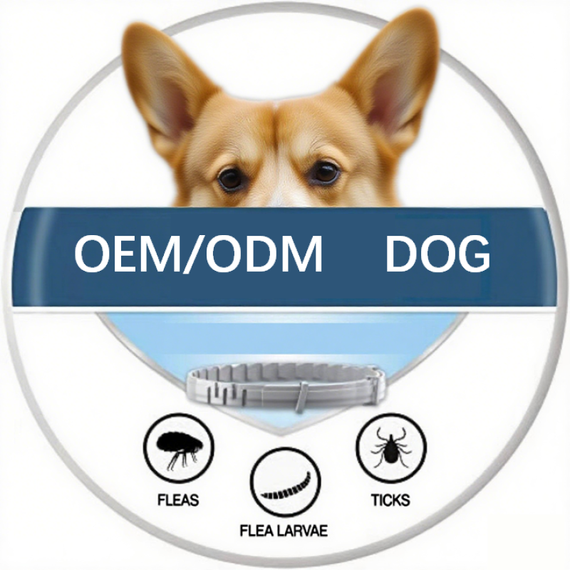 Pet Repellent Collar Factory - Natural Essential Oil Insect