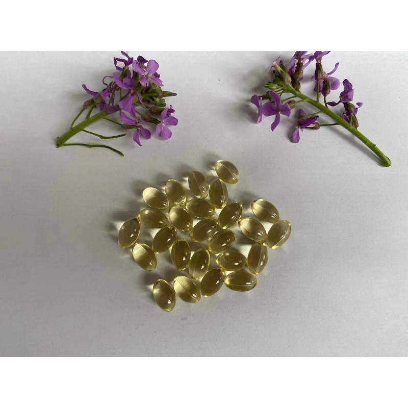 Oregano Softgel Capsules Factory - With Black Seed Oil