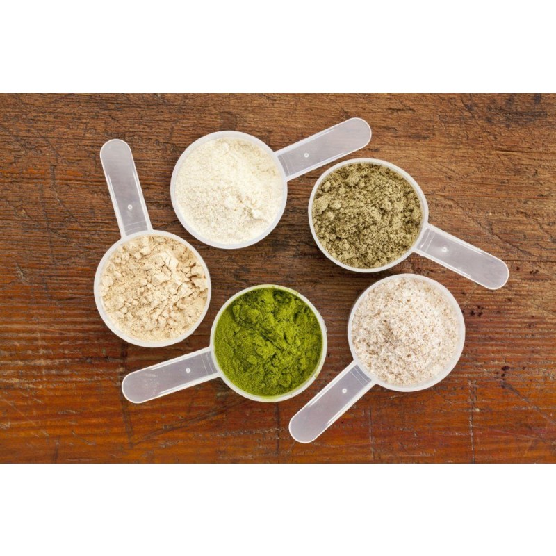 Plant Protein Powder Manufacturer - Organic Vegan Protein Blend 2.6lb Chocolate