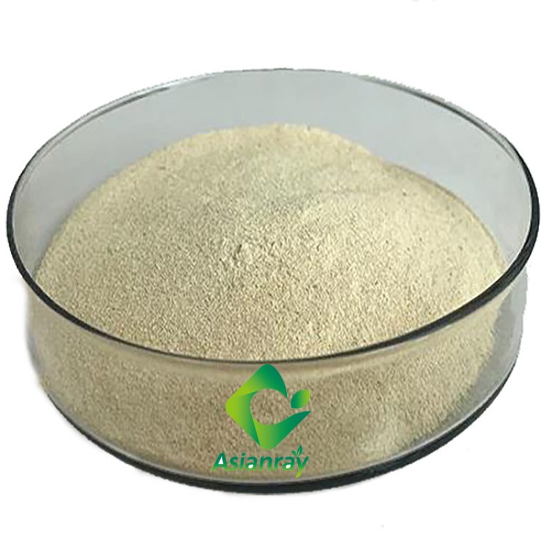 Organic Nutritional Beer Yeast Ferment Extract Paste Yeast Extract Bacteriological Organic Yeast Extract Powder