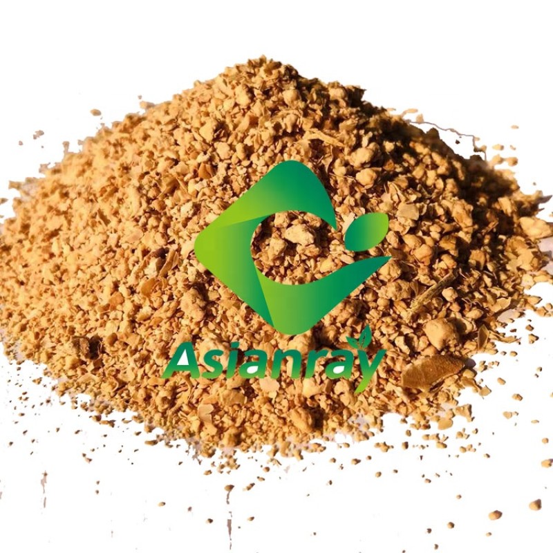 Additives Probiotics Powder Bacillus Coagulans High Purity Food Grade Freeze-dried 100billion Bacillus Coagulans Powder