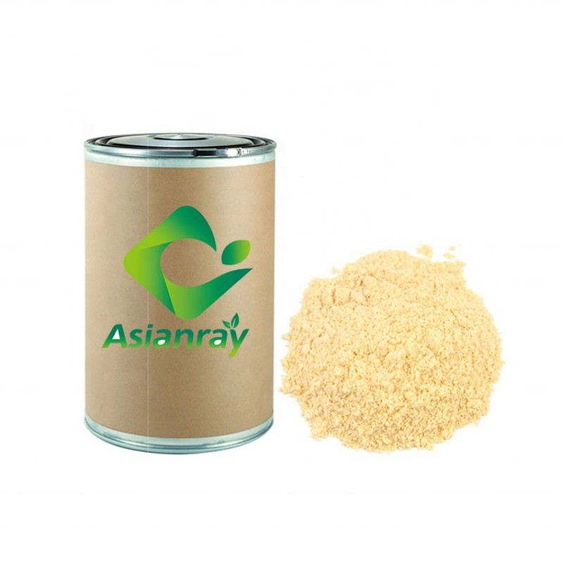 Biological Fertilizer Bacillus Megaterium Powder 20 Billion CFU/g Bacillus Subtilis Agriculture Growing