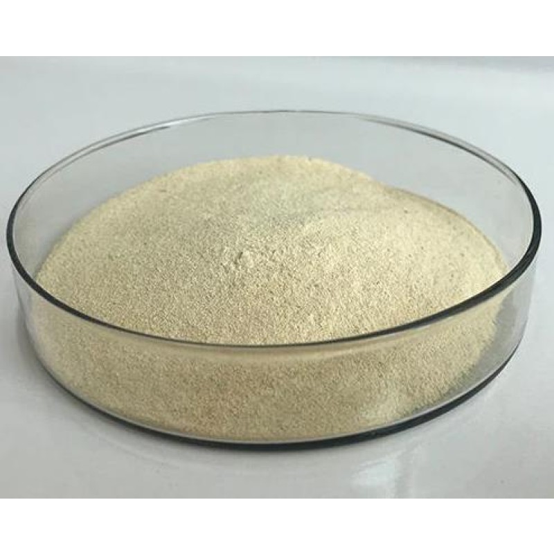 High Purity Neutral Proteolytic Enzyme Protease for Food Processing & Beer Brewing Industry