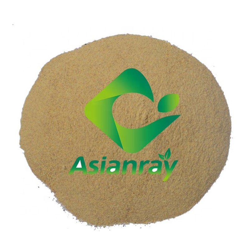 Popular Enzyme Products Enzyme Cellulase Powder Enzym
