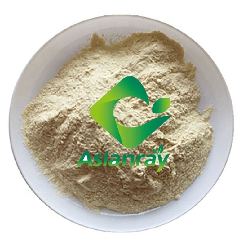 Bacillus Subtilis Fertilizer Bacillus Subtilis for Agriculture Bacillus Subtilis Sterilized Powder 168 Liquid