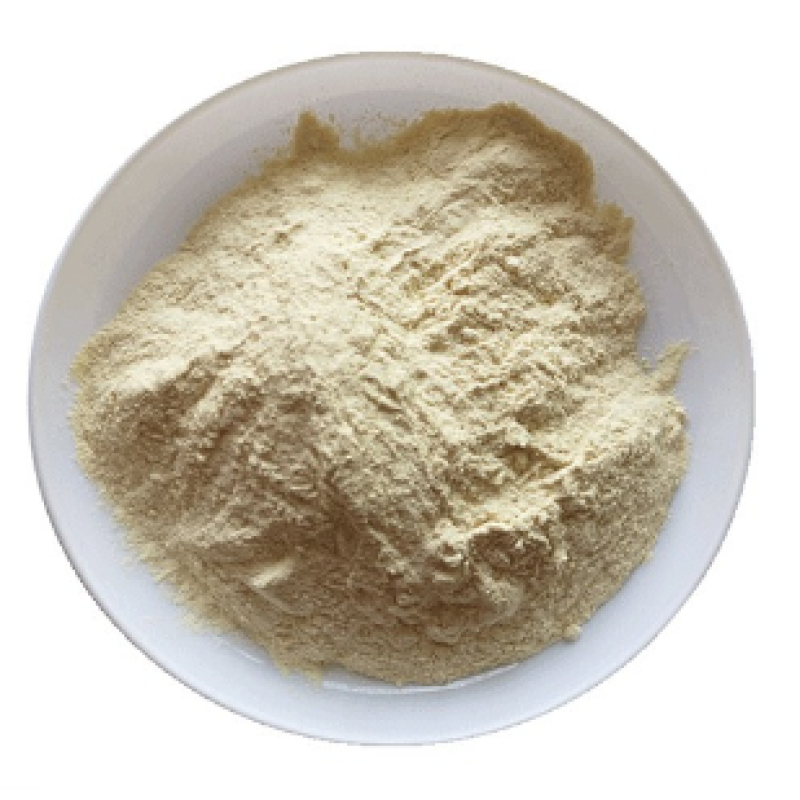 Biological Fertilizer Bacillus Megaterium Powder 20 Billion CFU/g Bacillus Subtilis Agriculture Growing