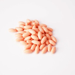 Citicoline Brain Capsule Manufacturer - Memory Focus Nootropic