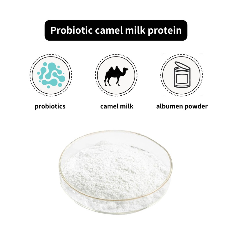 Whey Protein Powder Supplier - High Concentration Low Calorie