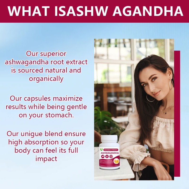 Organic Ashwagandha Capsules Factory - Withanolides Stress Relief
