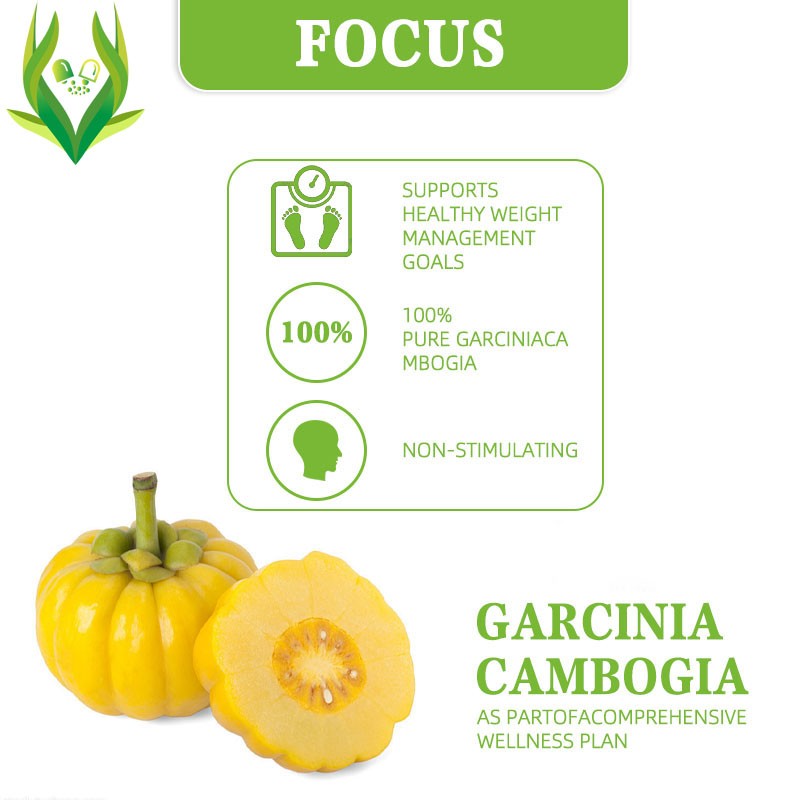 Garcinia Cambogia Capsules Manufacturer - OEM ODM Appetite Suppressant