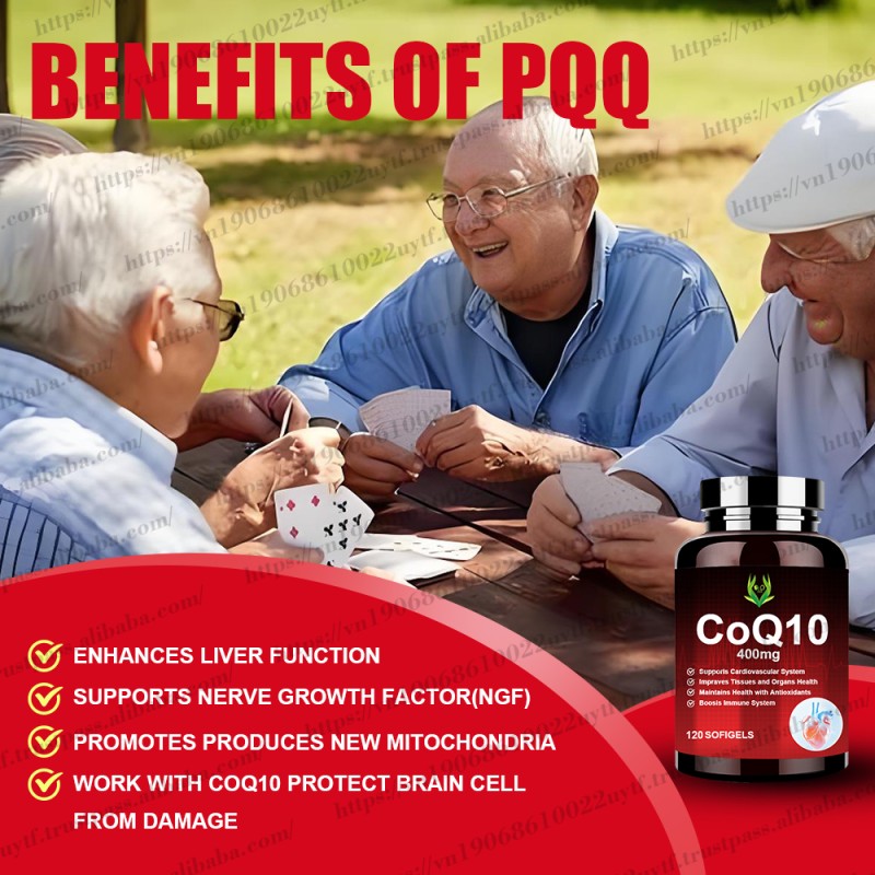 CoQ10 Softgels Supplier - Black Pepper Brain Health