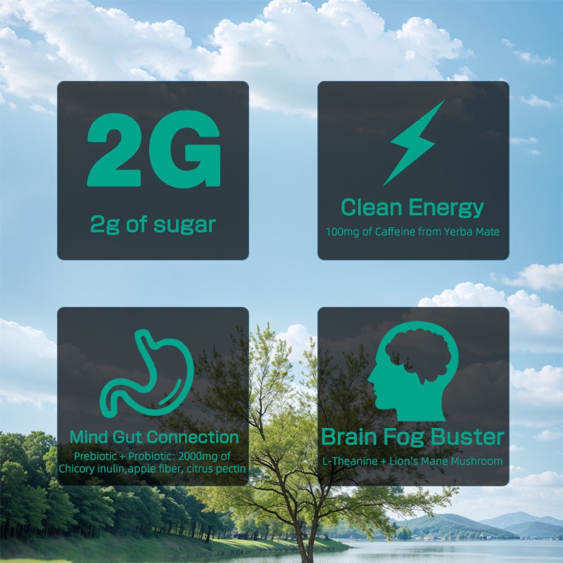 Organic Alfalfa Powder Manufacturer - 100% Pure Leaf Digestive