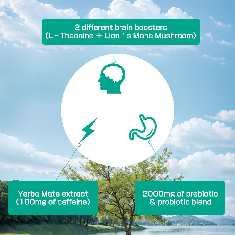 Organic Alfalfa Powder Manufacturer - 100% Pure Leaf Digestive