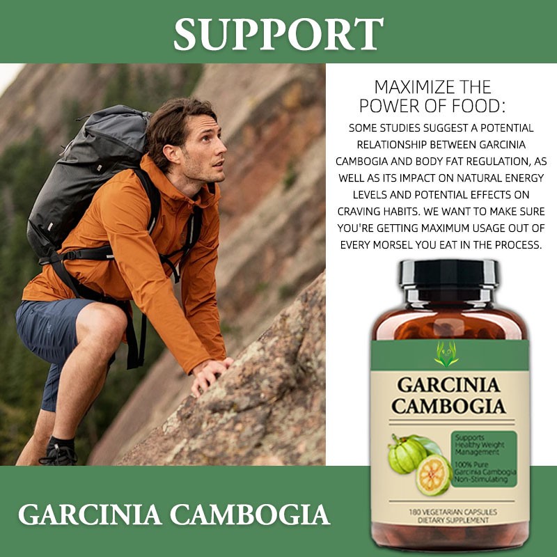 Garcinia Cambogia Capsules Manufacturer - 100% Pure Metabolism