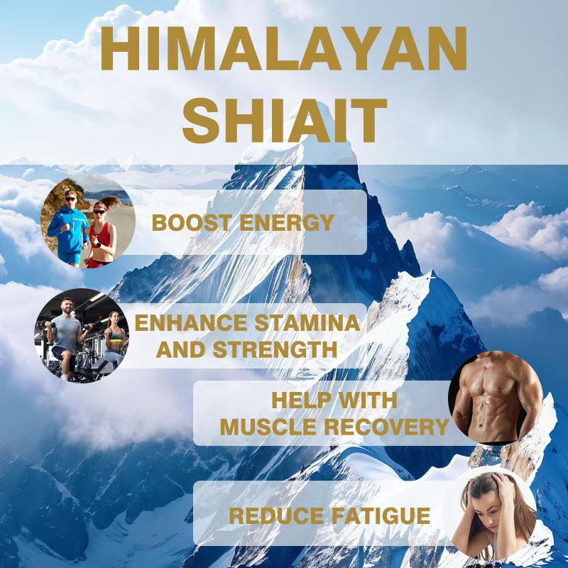 Shilajit Gummies Factory - Panax Ginseng Energy Muscle