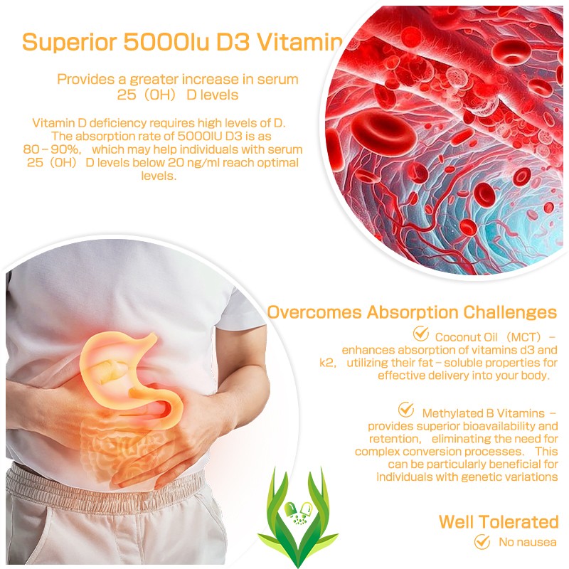 Vitamin D3 K2 Gummies Factory - B6 Zinc Bone Immunity