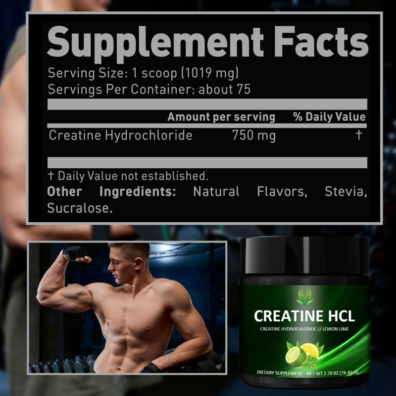 Pre Workout Creatine Powder Factory - Muscle Building Energy