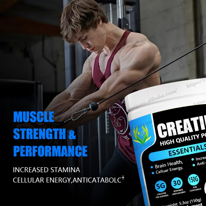 Organic Mushroom Coffee Supplier - Energy Boost Immune Defense