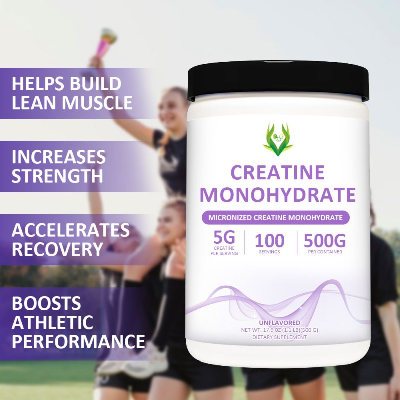 Pure Creatine Powder Supplier - Gold Standard Muscle Recovery