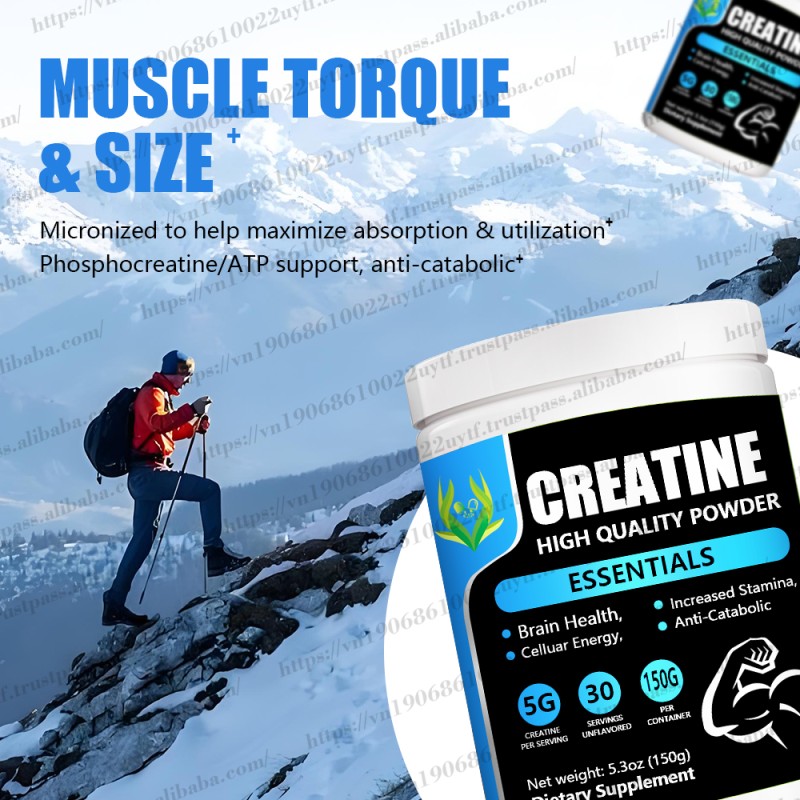 Organic Mushroom Coffee Supplier - Energy Boost Immune Defense