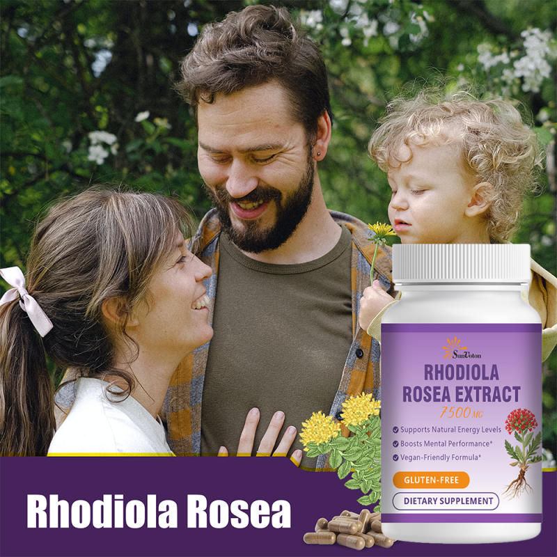 Valerian Capsules Supplier - 500mg Sleep Supplement