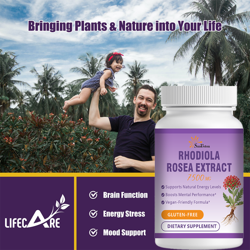 Valerian Capsules Supplier - 500mg Sleep Supplement