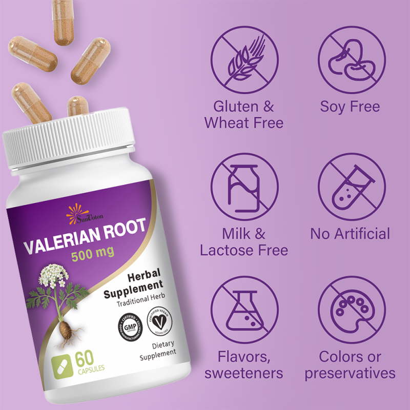 Beetroot Capsules Factory - Natural Root Extract