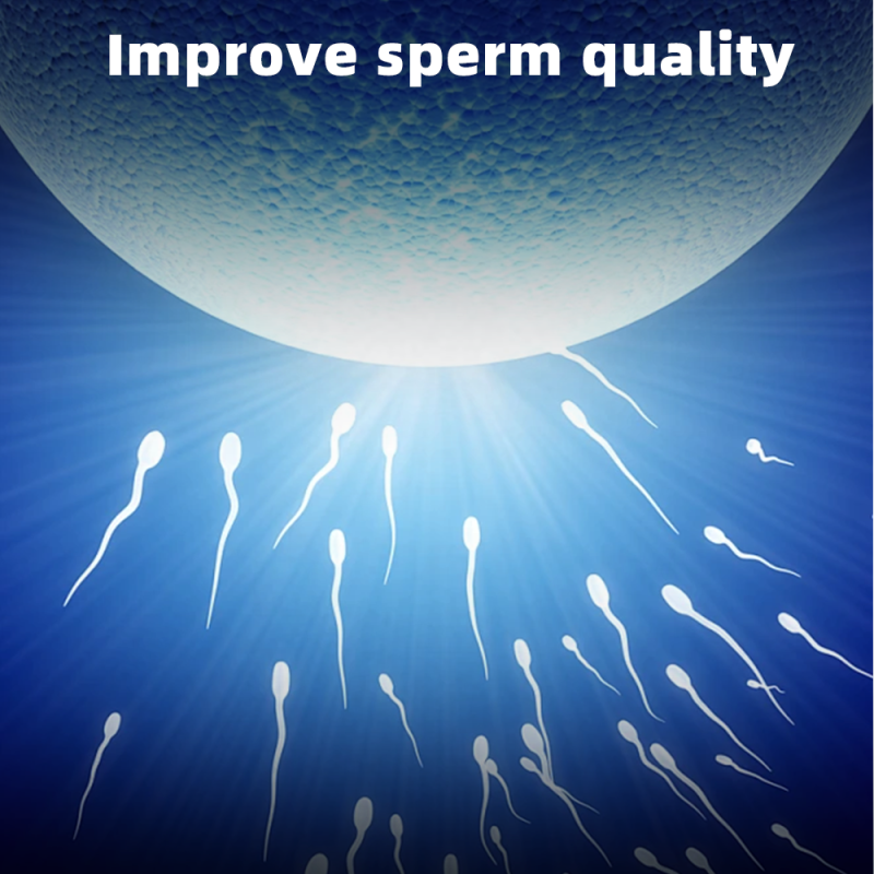 Fertility Tea Manufacturer - Maca Flower Herbal