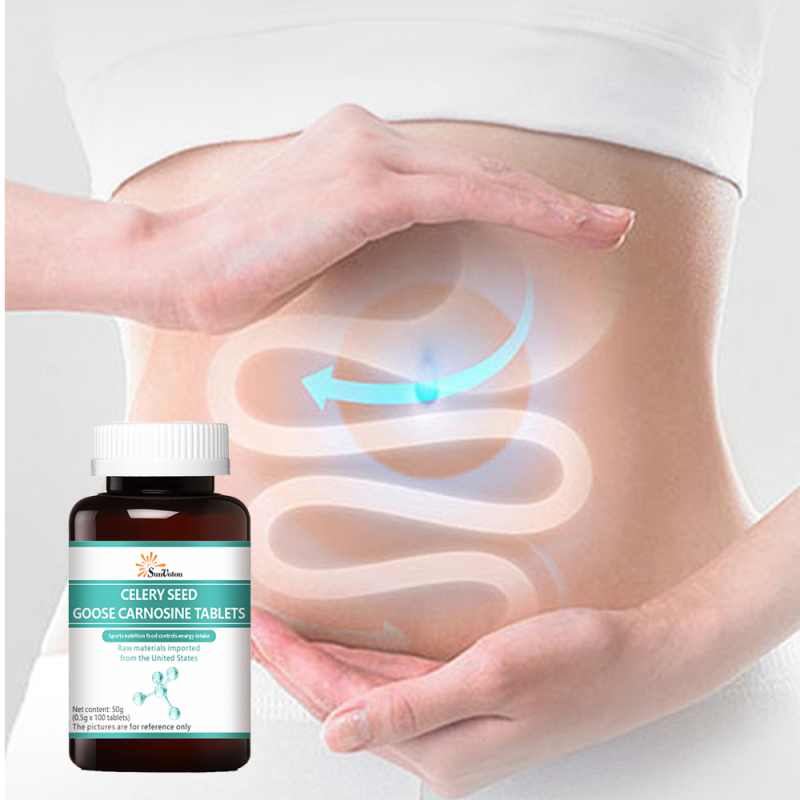 Green Tea Bags Factory - Relaxing Herbal Blended