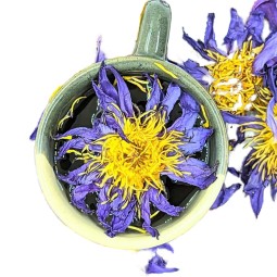 Shilajit Gummies Supplier - Sea Moss Black Seed Ashwagandha