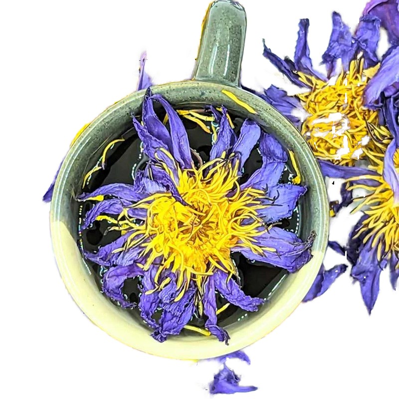 Shilajit Gummies Supplier - Sea Moss Black Seed Ashwagandha