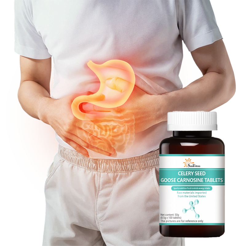 Green Tea Bags Factory - Relaxing Herbal Blended